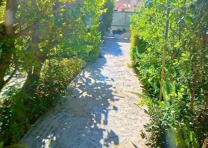 Les & 住宿加早餐酒店 圣特雷莎加卢拉