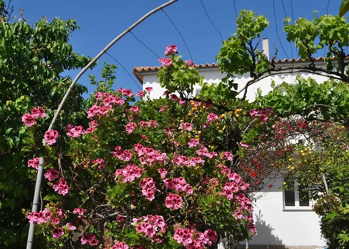 Les & 住宿加早餐酒店 圣特雷莎加卢拉